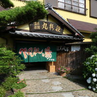 北郷温泉　べっぴんの湯　丸新荘 写真