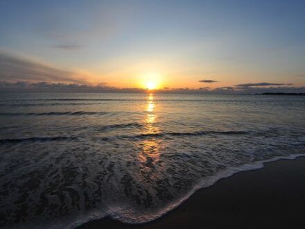 民宿弁当やっ古 写真
