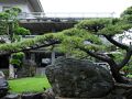 穴吹邸 写真