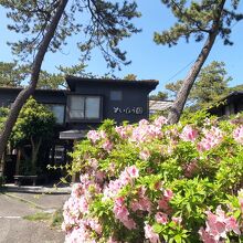 写真：楽天トラベル