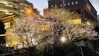 THE BENIYA 湯河原