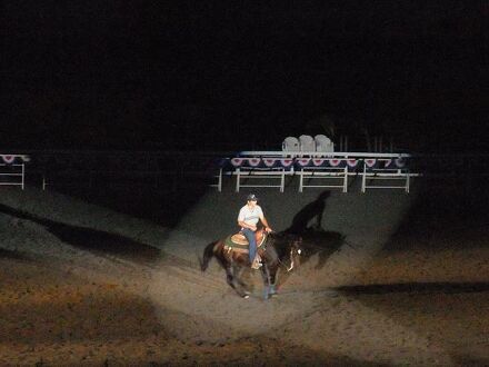 ガストホフ　アスコット 写真