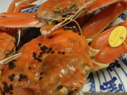 温泉　料理　民宿　三国屋 写真