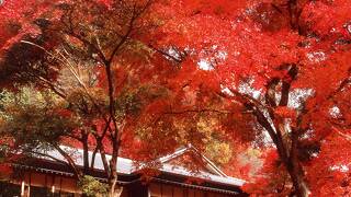 梨木館 はせを亭