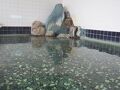 長岡かまぶろ温泉旅館 写真