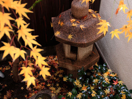 京宿家 朱雀 若草庵 写真