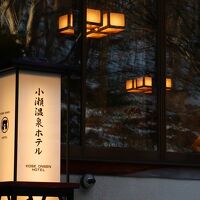 小瀬温泉ホテル 写真