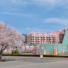 写真：楽天トラベル