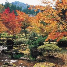 写真：楽天トラベル