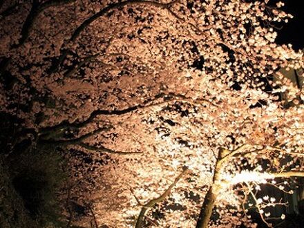 貸別荘 アップル 写真