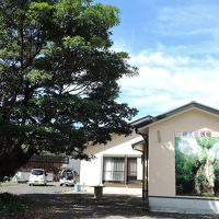 民宿　いっぱち　＜屋久島＞ 写真