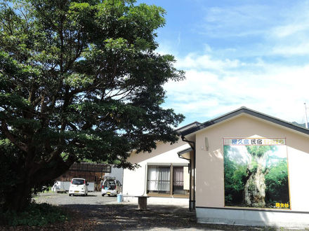 民宿　いっぱち　＜屋久島＞ 写真