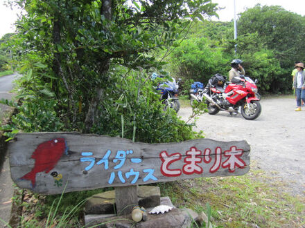 とまり木　＜屋久島＞ 写真