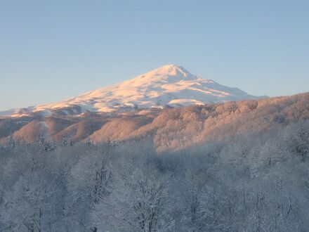 ホテル フォレスタ鳥海 写真