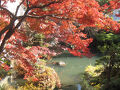 割烹旅館　新花の茶家 写真