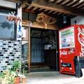 若狭神子　民宿　竹中 写真
