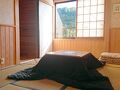 Washi　Studio　かみこや 写真
