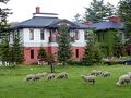 YORKSHIRE FARM (ヨークシャーファーム) 写真