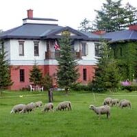 YORKSHIRE FARM (ヨークシャーファーム) 写真