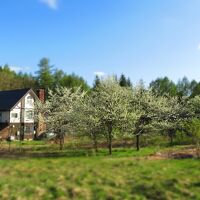 乗鞍高原　ペンション　ウインズ 写真