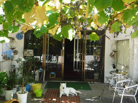 ポイントホープやまゆう 写真