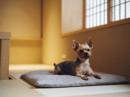 ゆうひの家 写真