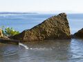 有村温泉 さくらじまホテル 写真