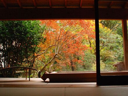 源泉かけ流しの湯　御宿　さか屋 写真