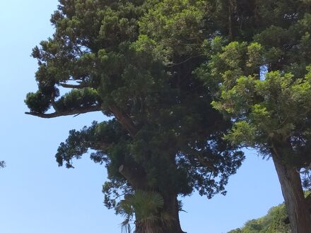 箒沢荘 写真
