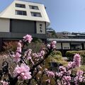浅間温泉　錦の湯　地本屋 写真
