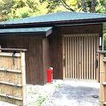 杏庵-にしだ 写真