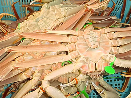 田政水産　福寿亭 写真