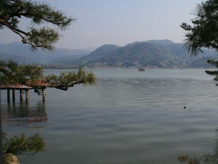 ゆの宿 彩香 写真