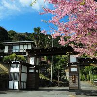 伊東温泉　横浜藤よし伊豆店 写真
