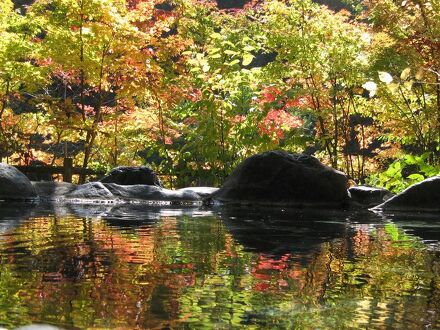 川俣温泉 国民宿舎 渓山荘 写真