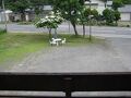 十和田湖バックパッカ－ズ 写真