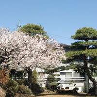 民宿なかの 写真