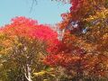 ペンション　横山 写真