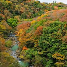写真：楽天トラベル