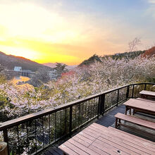 写真：楽天トラベル