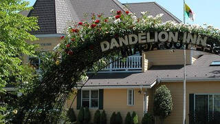 Dandelion inn (だんどりあん)