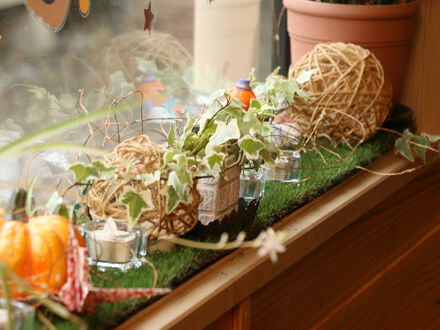 Sloth Glamping＜対馬＞ 写真