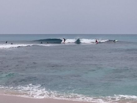 手広ＢｅａｃｈＢａｃｋｐａｃｋｅｒｓ＜奄美大島＞ 写真