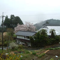 里山民宿　新屋 写真