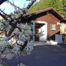 写真：楽天トラベル