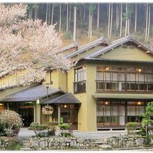 写真：楽天トラベル