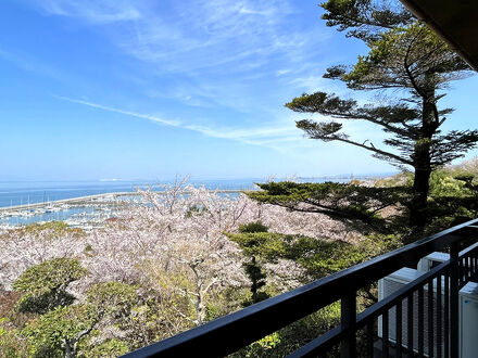 龍宮館 写真