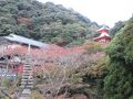 信貴山大本山 千手院 写真