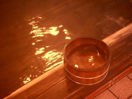 水芭蕉の宿 温泉 ひがし 写真