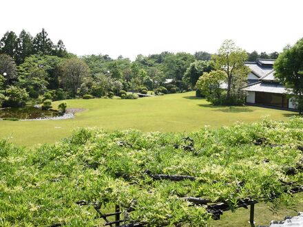 葛城北の丸 写真